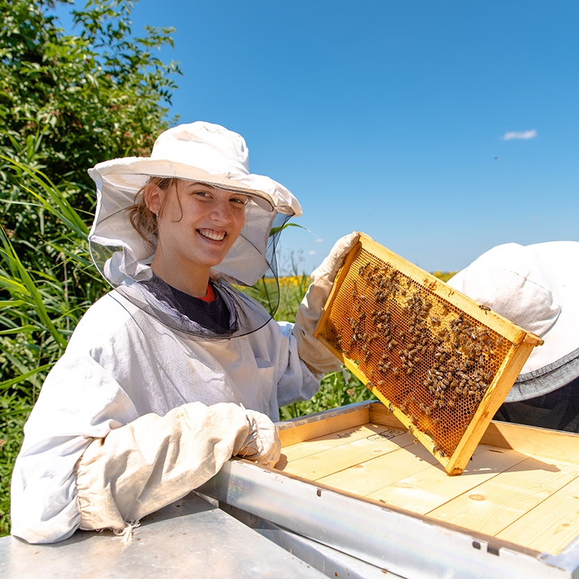 Idée cadeau pour soi ou à offrir  : VISITE DECOUVERTE  d'un rucher et des abeilles 