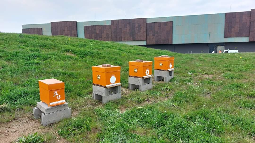 Le rucher ORANGE DATA CENTER d'AMILLY CHARTRES
